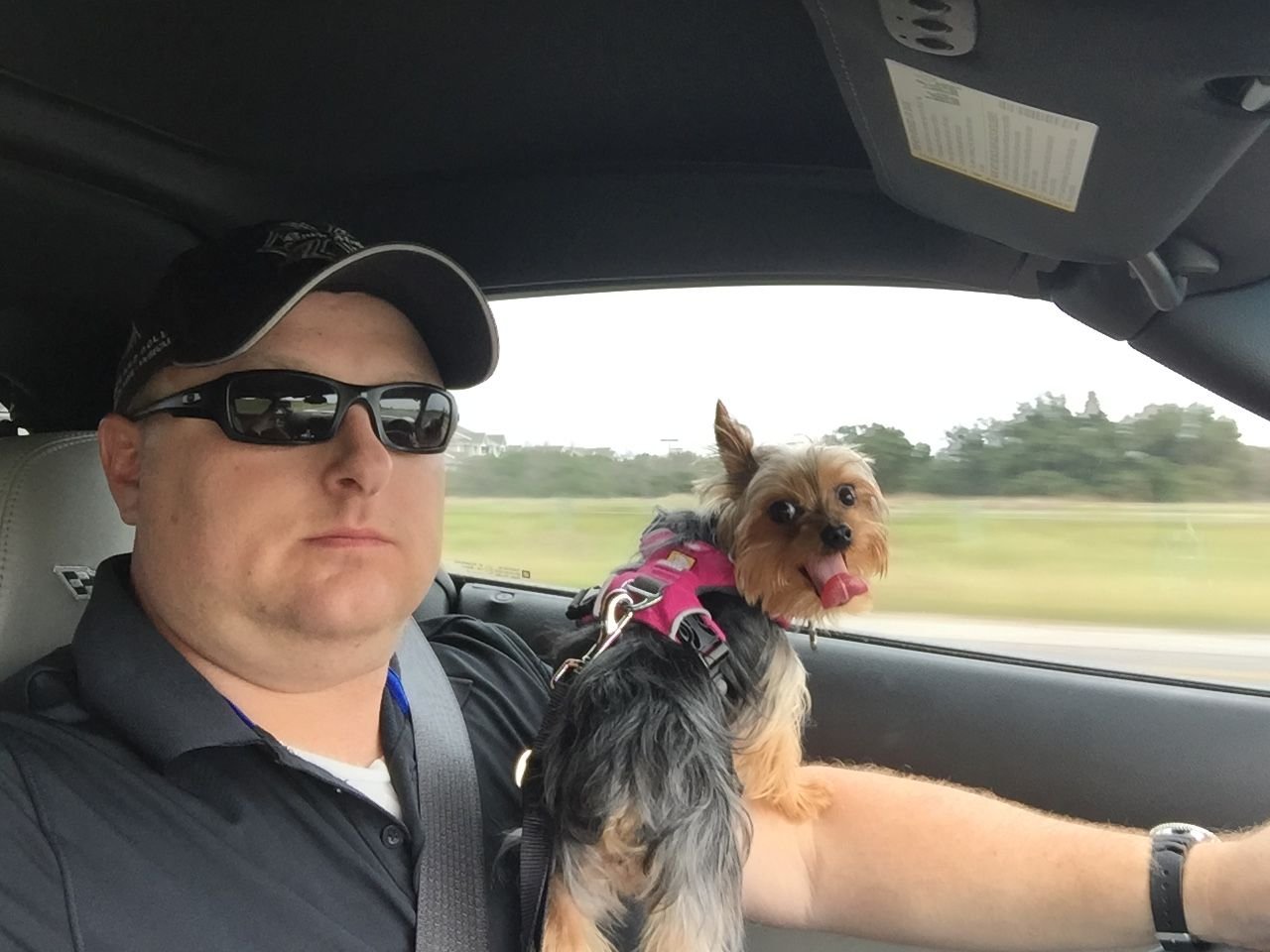 Your dog and your car. Page 13 CorvetteForum Chevrolet Corvette Forum Discussion