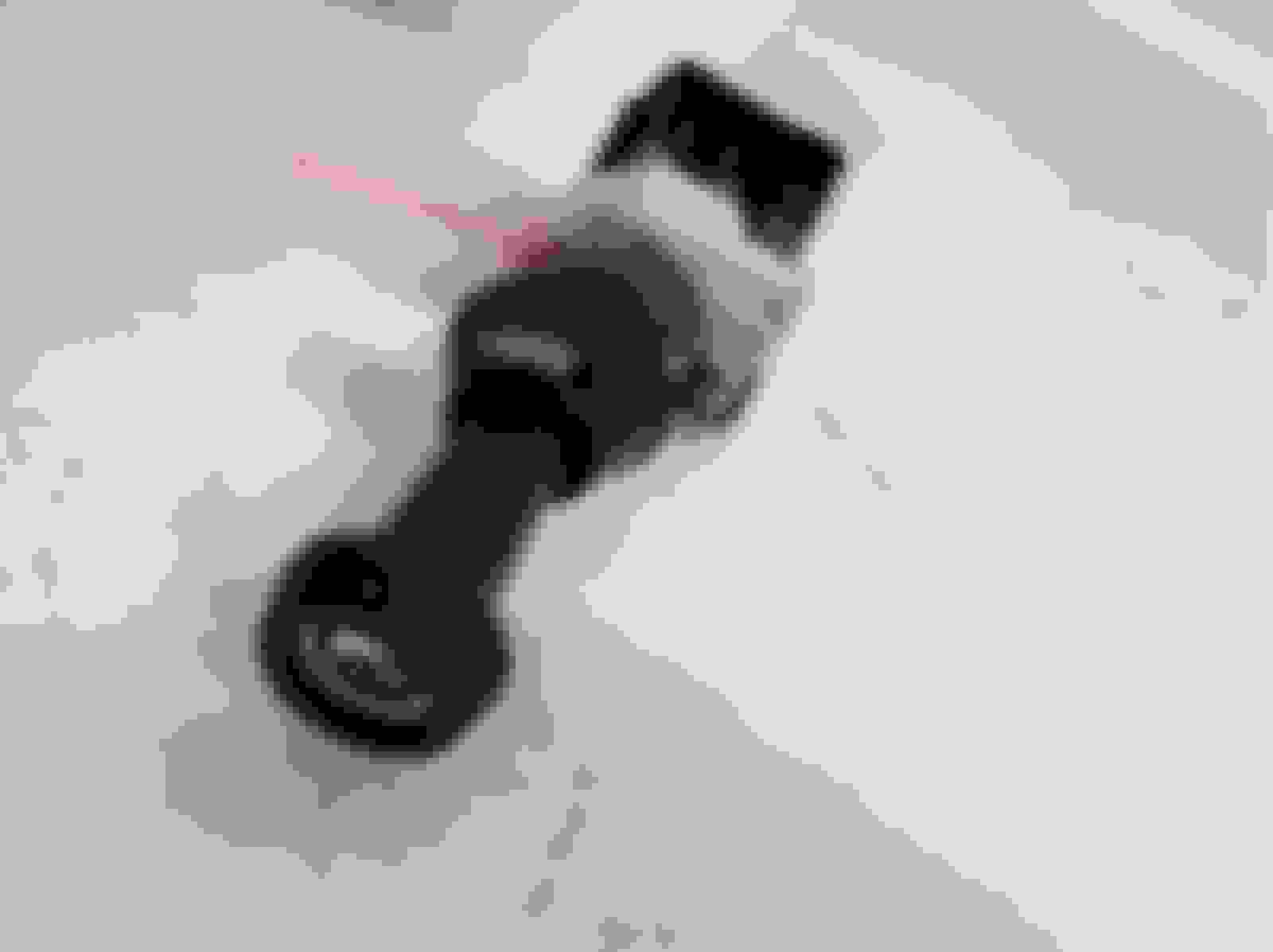 No power left side Inst LPs fuse and IP CorvetteForum Chevrolet