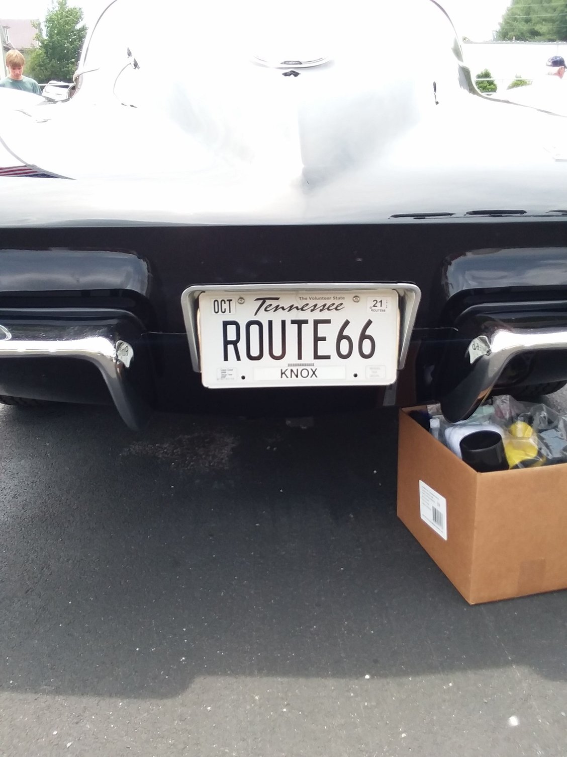 All Corvette Show Bill Gatton Chevy, Bristol TN CorvetteForum