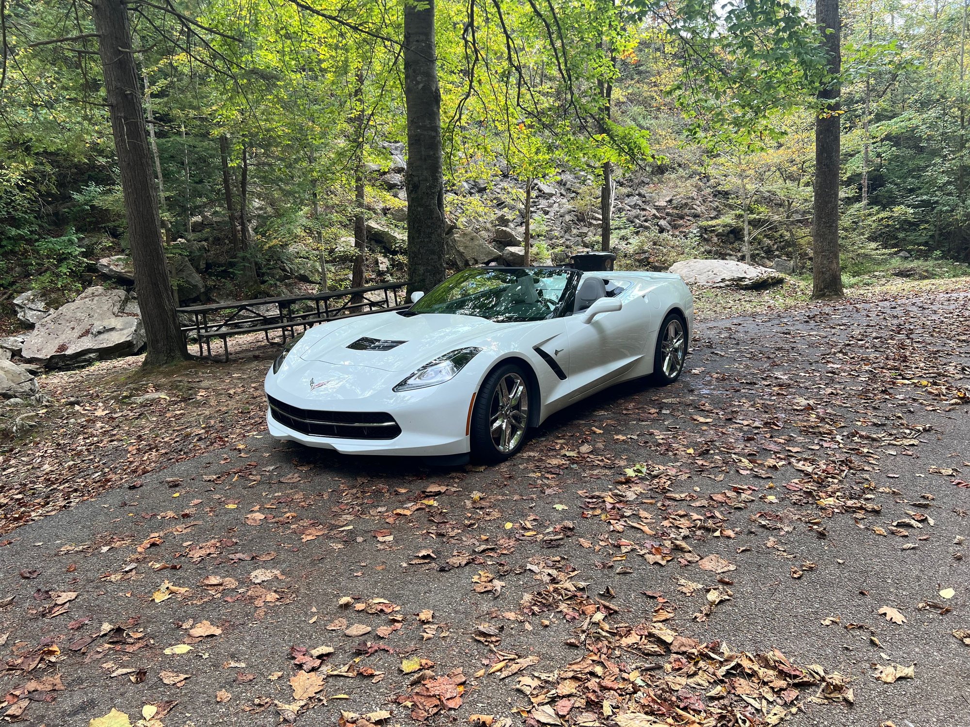 Our new-to-us hotrod...2014 Stingray Z51 LT2 one-owner.  