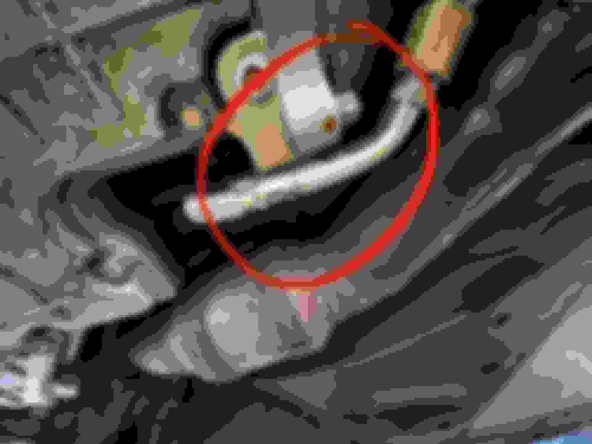 Will Ktlordahl Recover From This Leak? - m3wv3qv