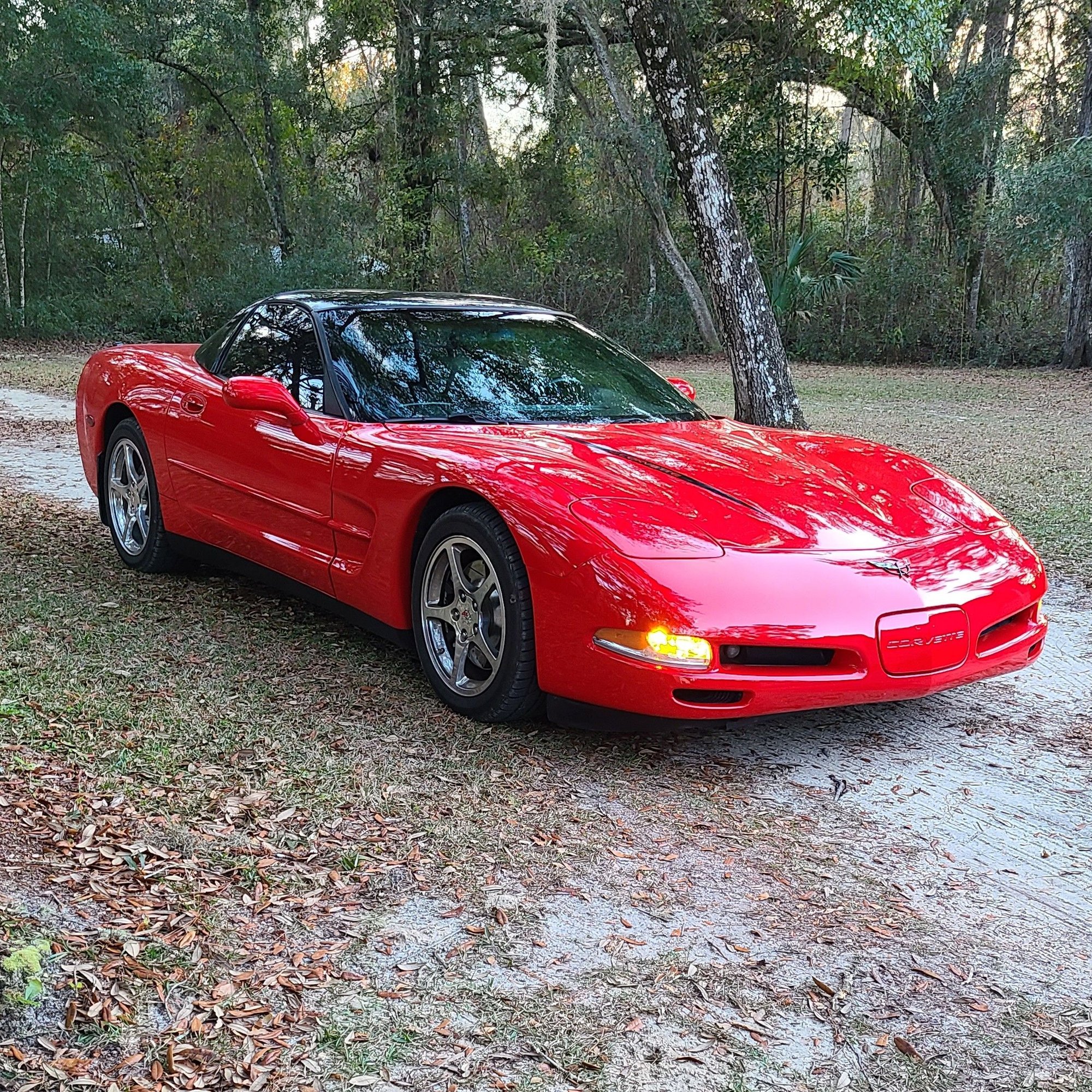 WTB (Want To Buy) Base C5 under 10K CorvetteForum Chevrolet