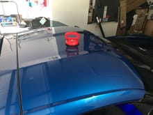 Suction cup for C7