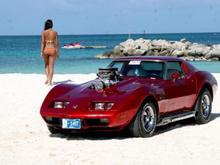 vette on beach 4
