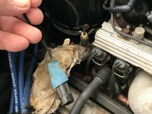 My Post Pictures