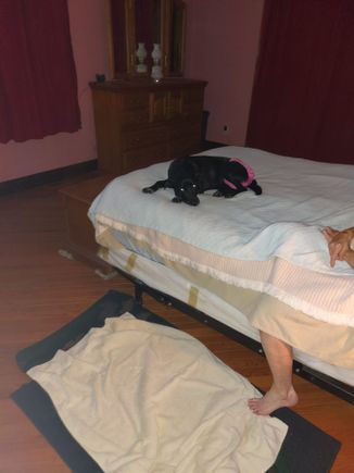 The terrorist. Wore her out.
