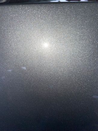 This is a close up of Hypersonic Silver taken today at Carlisle.