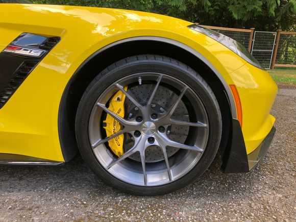 The Forgeline wheels are a nice compliment to the carbon ceramic brakes!