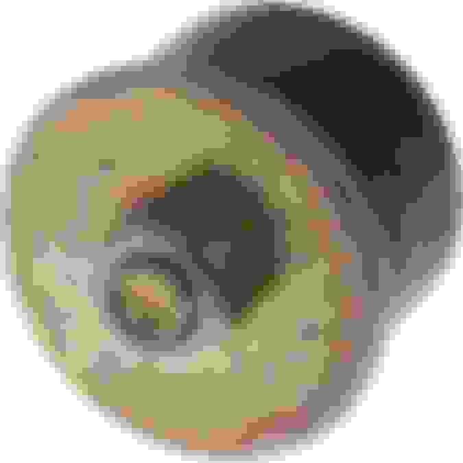 Run engine without coolant/radiator? CorvetteForum Chevrolet