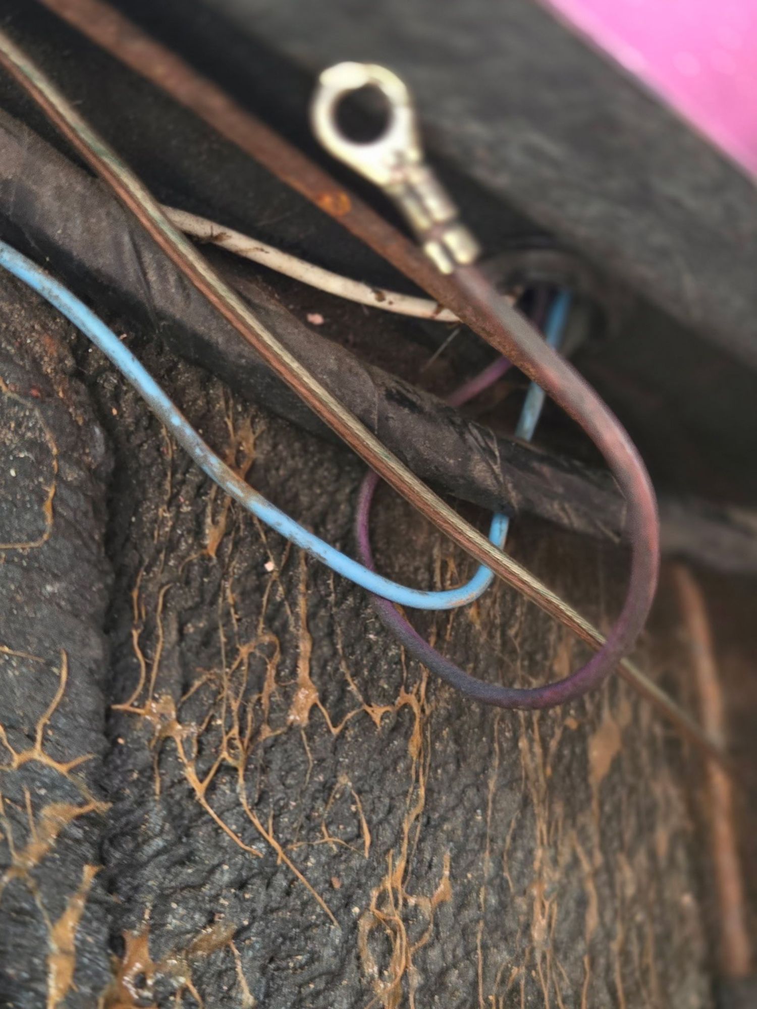 Ground wire detached and cleaned. Note the blue and white wire coming inside from the alarm switch.