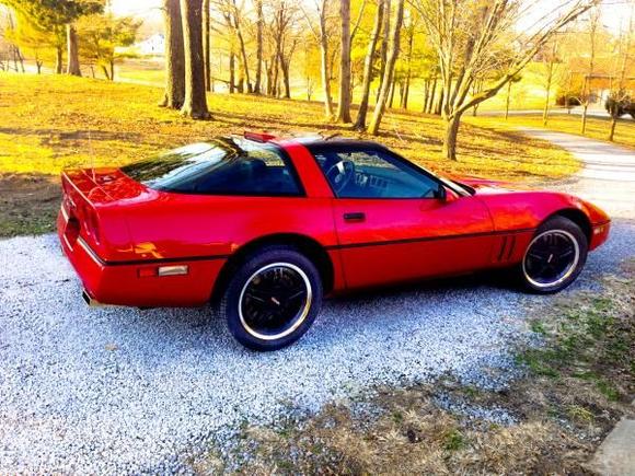 Corvette   Right Side (1 of 1)