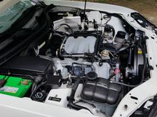 The white scuttle plate behind the grille & headlights has only been washed with soap & water thus far.  Notice how dingy it looks compared to the shock towers & other white paint which has had a polish & wax?  The battery & overflow tank were removed so I could really get to everything.