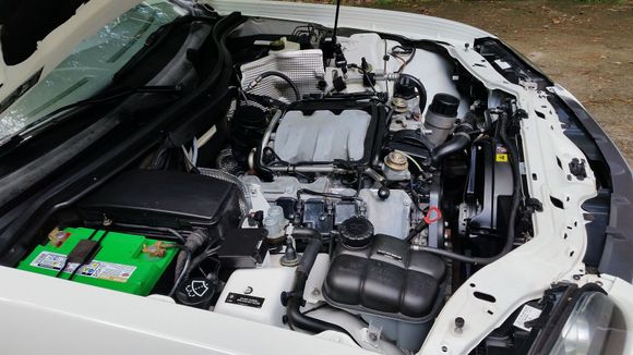 The white scuttle plate behind the grille & headlights has only been washed with soap & water thus far.  Notice how dingy it looks compared to the shock towers & other white paint which has had a polish & wax?  The battery & overflow tank were removed so I could really get to everything.