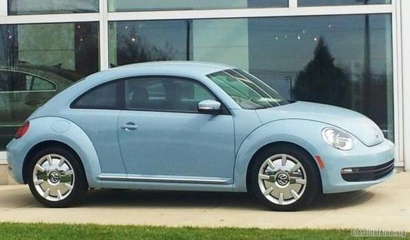 beetle1