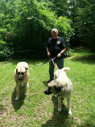 Dousing Dogs