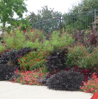 "Rotary Garden - Janesville, WI - 2010" from BRENDAK654