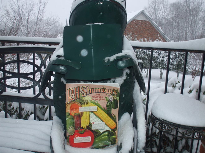 Good day to peruse seed and garden catalog.