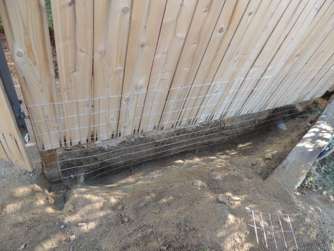 dug 50 feet of trench, 2 feet deep, along fence line outside of dog yard and buried wire fencing down into concrete to keep coyotes from digging in (and dogs from digging out)... a LOT of work!