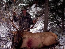05 Rifle Elk