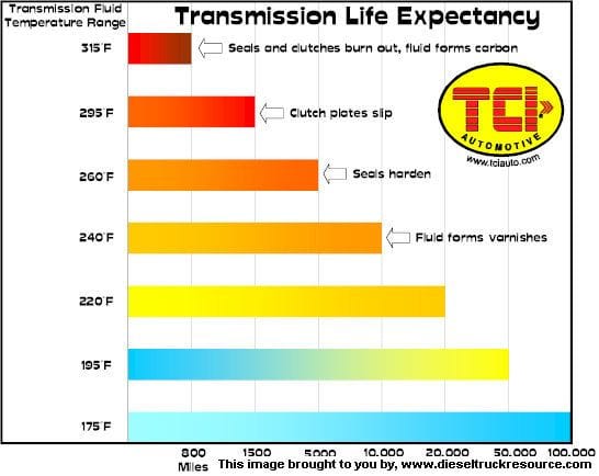 trans life expectancy