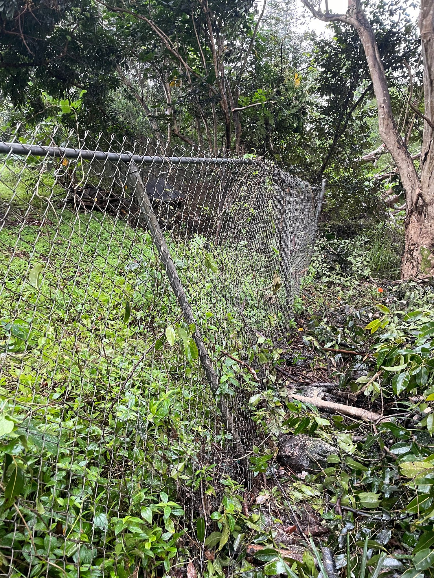 Have to fix a chain link fence that was hit by a falling branch. -  DoItYourself.com Community Forums