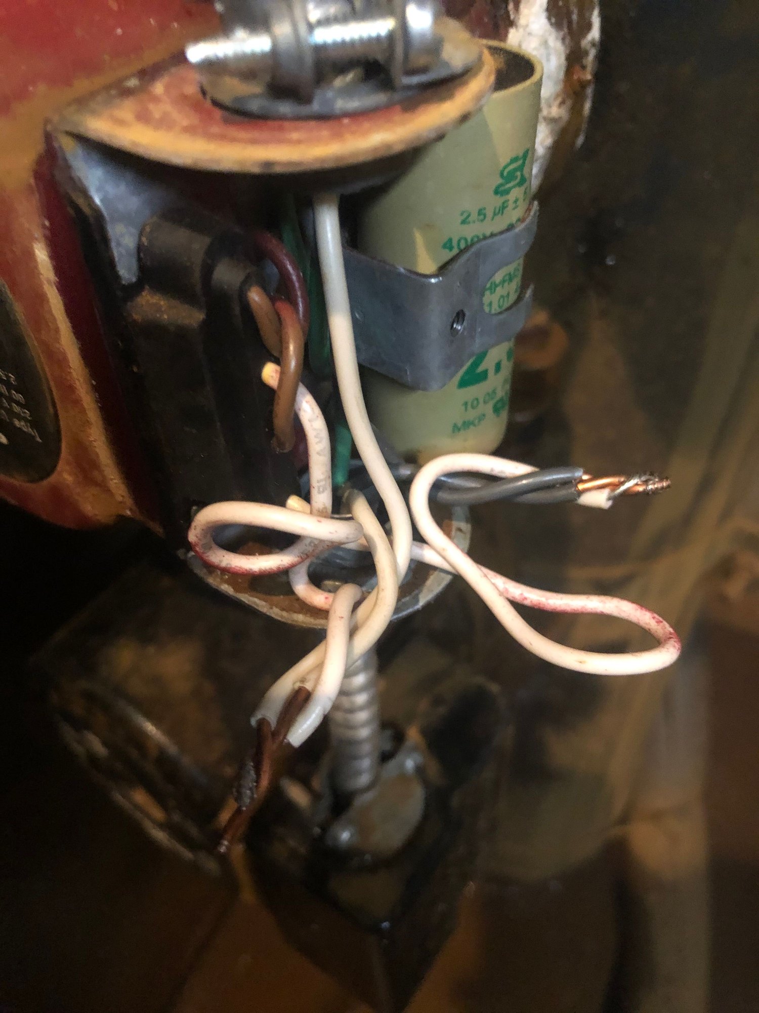 Circulating pumps not working Community Forums