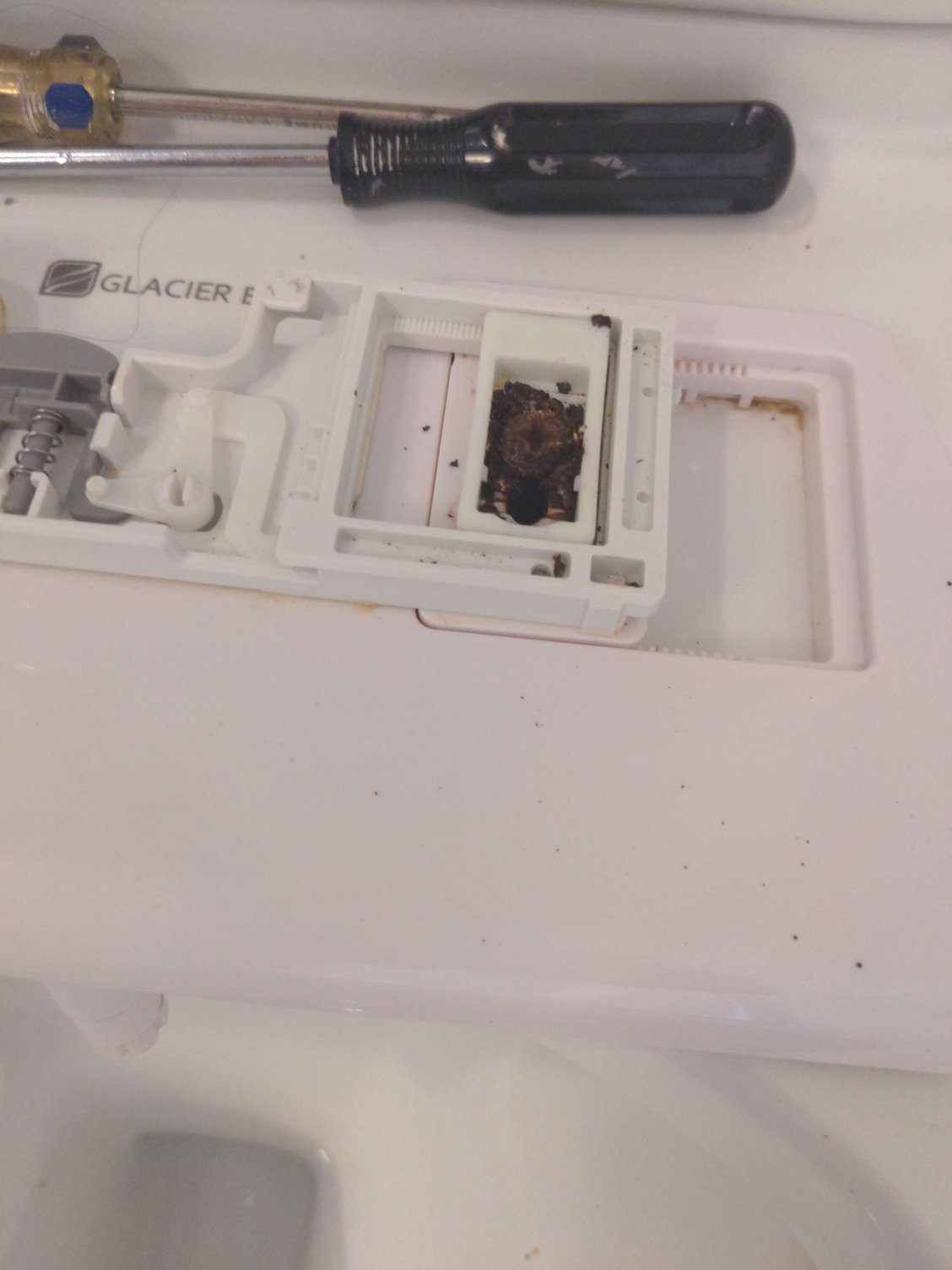 Rusted Toilet Seat bolts issue. Community Forums