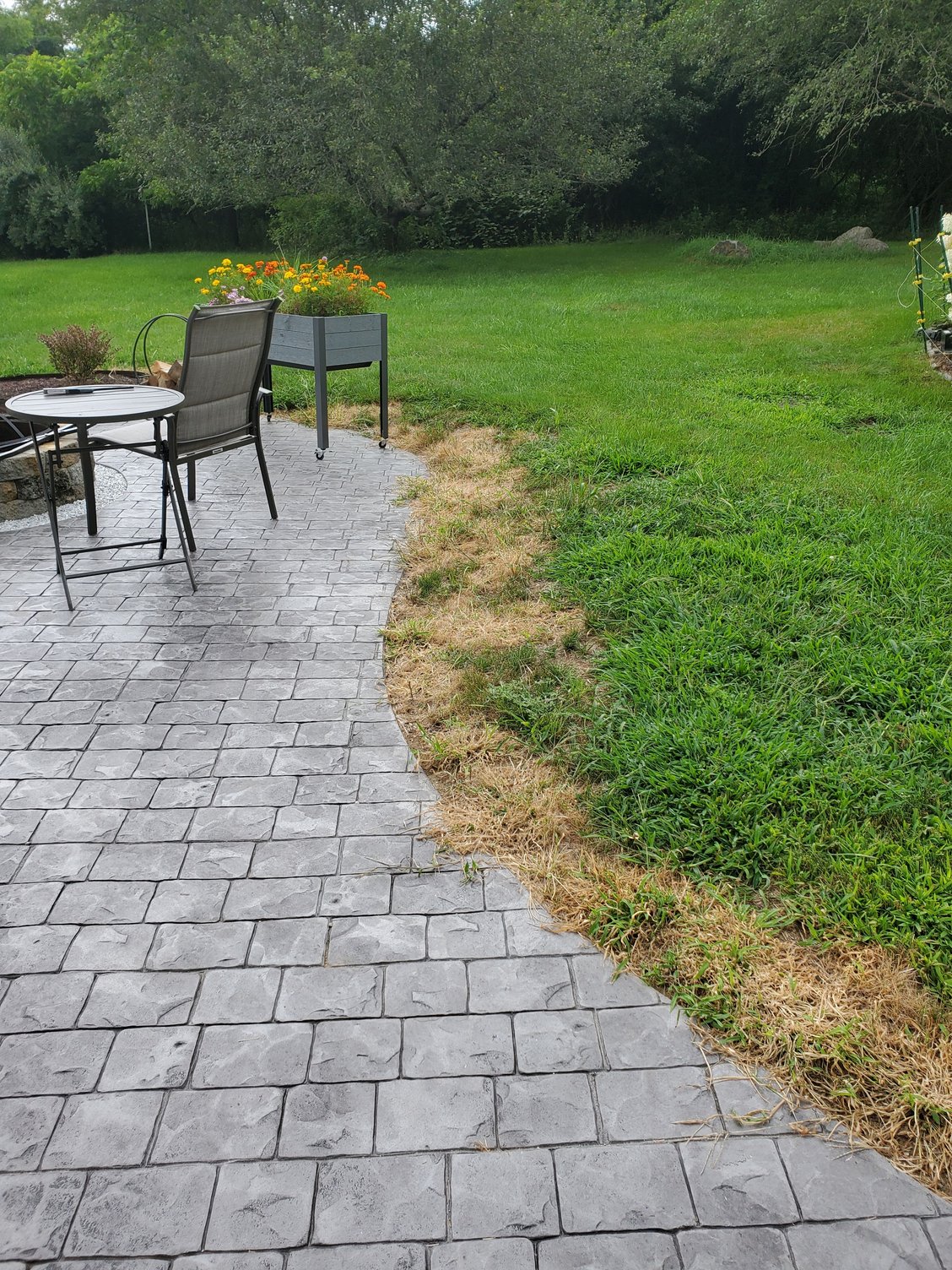 Does white vinegar, salt, and dish soap really burn weed leaves