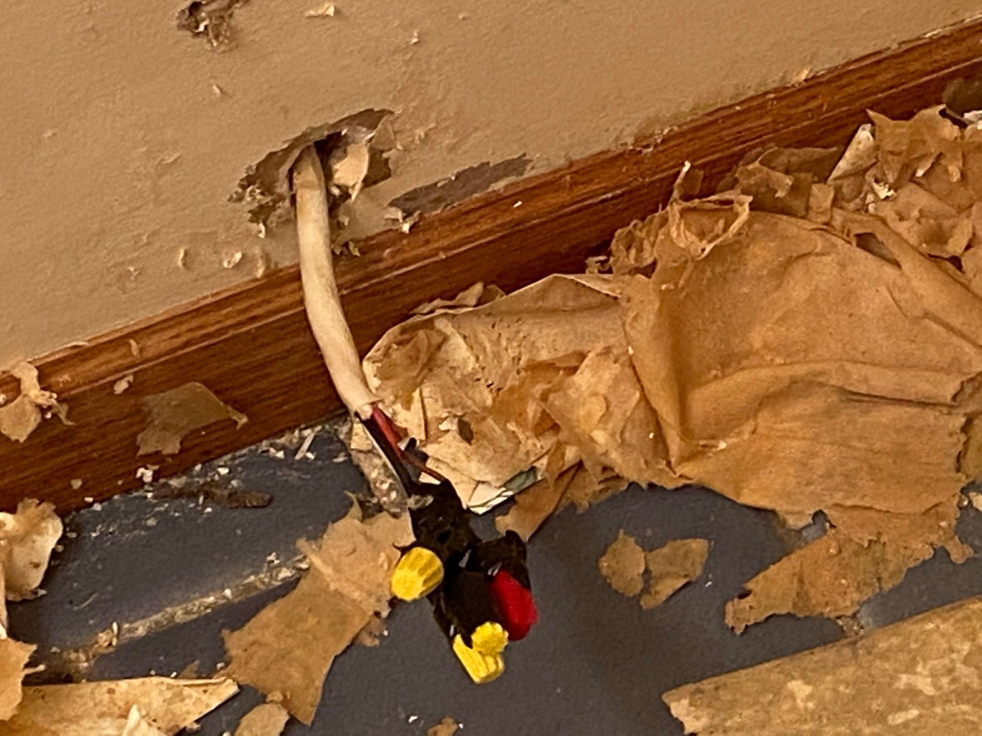 Capping Live Wires Community Forums