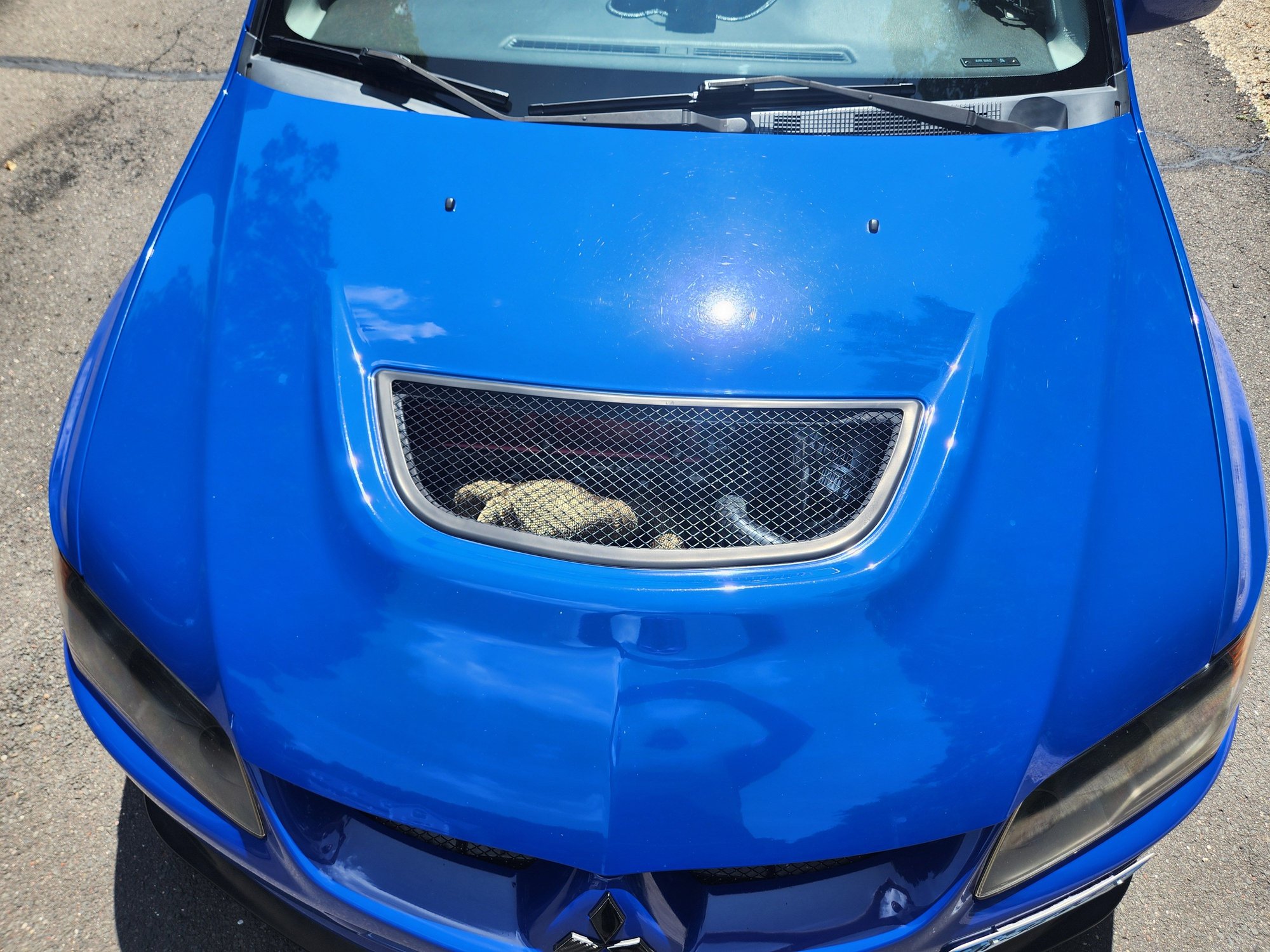 2003 Mitsubishi Lancer Evolution - Evo VIII Built Engine & Drivetrain. 43k miles, 2k miles on build - Used - VIN JA3AH86FX3U086808 - 43,000 Miles - AWD - Manual - Sedan - Blue - Watertown, CT 06795, United States