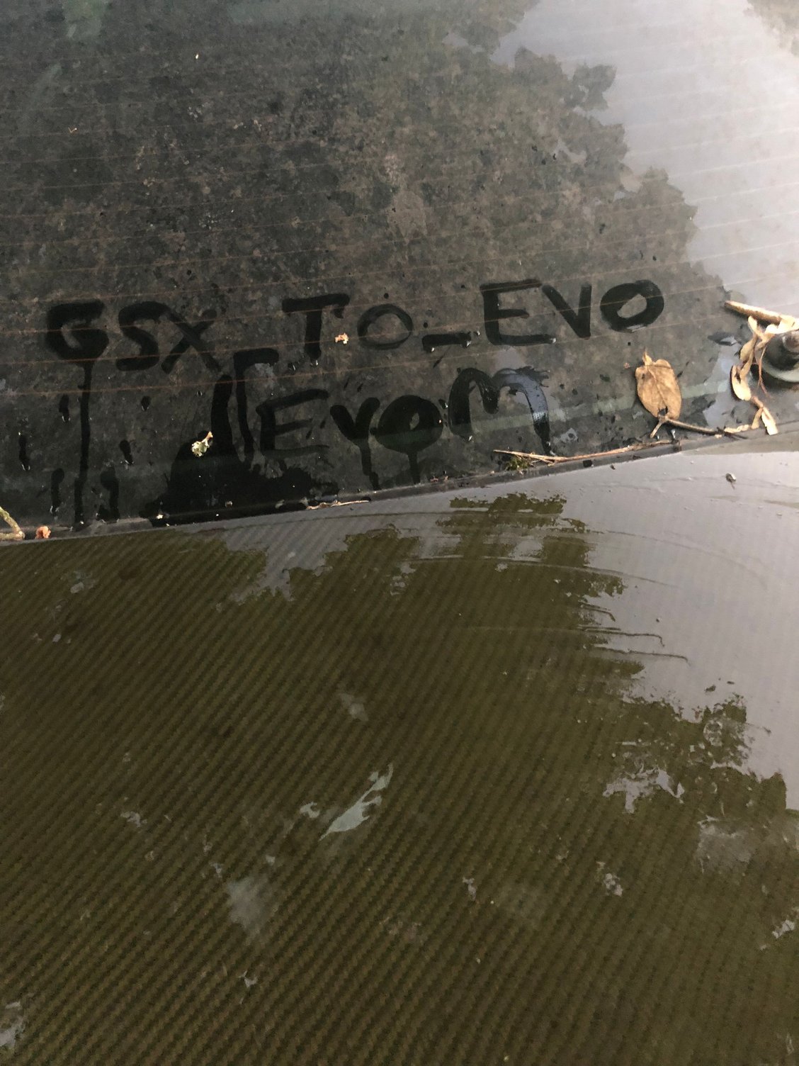 Exterior Body Parts - WTT: OEM Carbon hood and trunk for OEM - Used - 2003 to 2006 Mitsubishi Lancer Evolution - Knoxville, TN 37920, United States