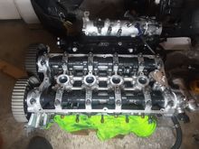 My head. Just need another one to have as back up.