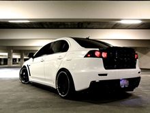 Evo2 (after)