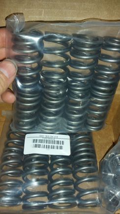 GSC 5041 valve springs and titanium retainers