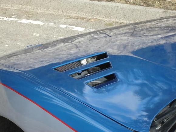 Air filter, and steering fluid tank, seen through the hood vents...just in case there was any question the vents were real.