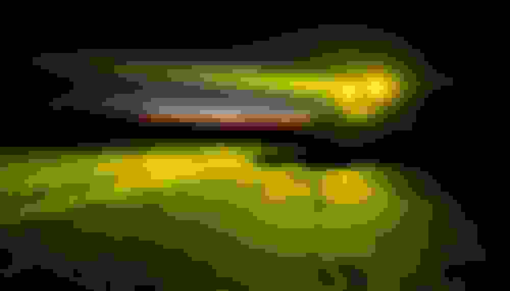 Fog vs. Spot vs. Flood vs. Driving Light Which beam pattern is best