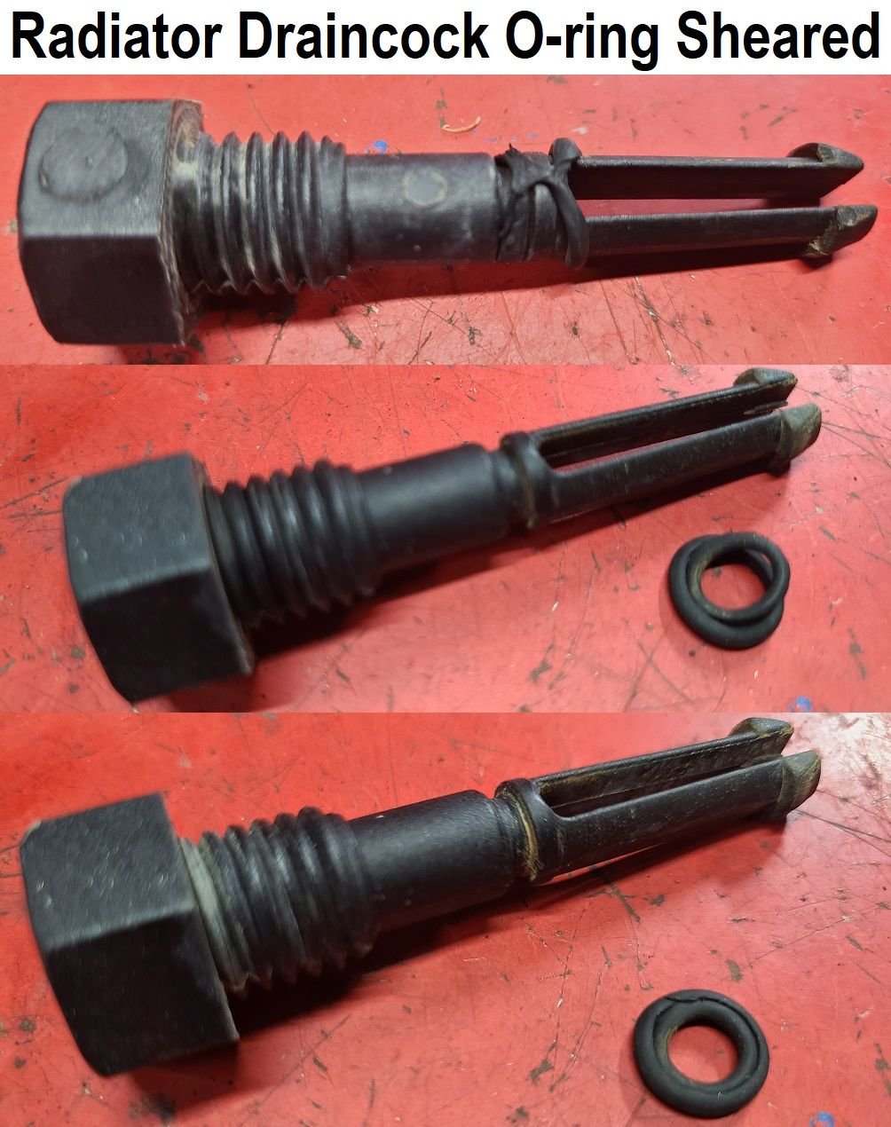 1994 F150 Radiator drain plug seal Ford F150 Forum Community of