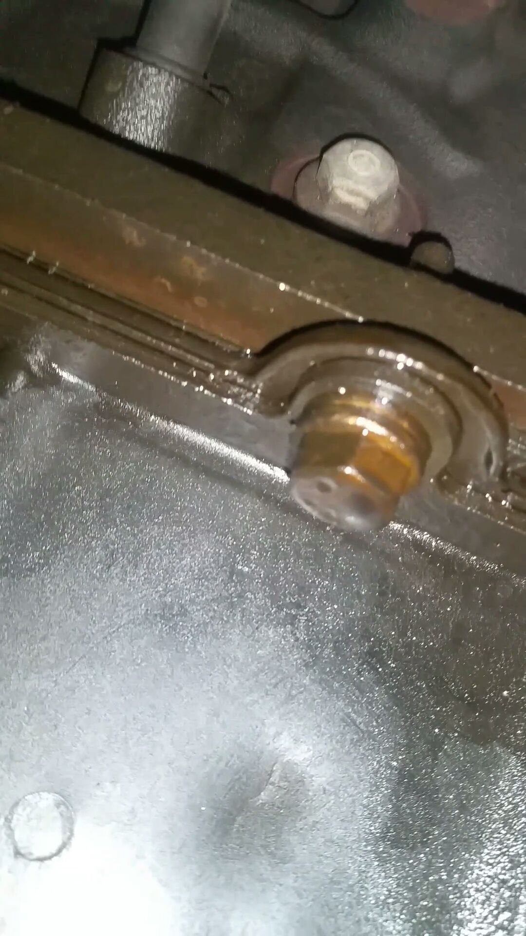 Rear main seal or oil pan gasket ? Ford F150 Forum Community of