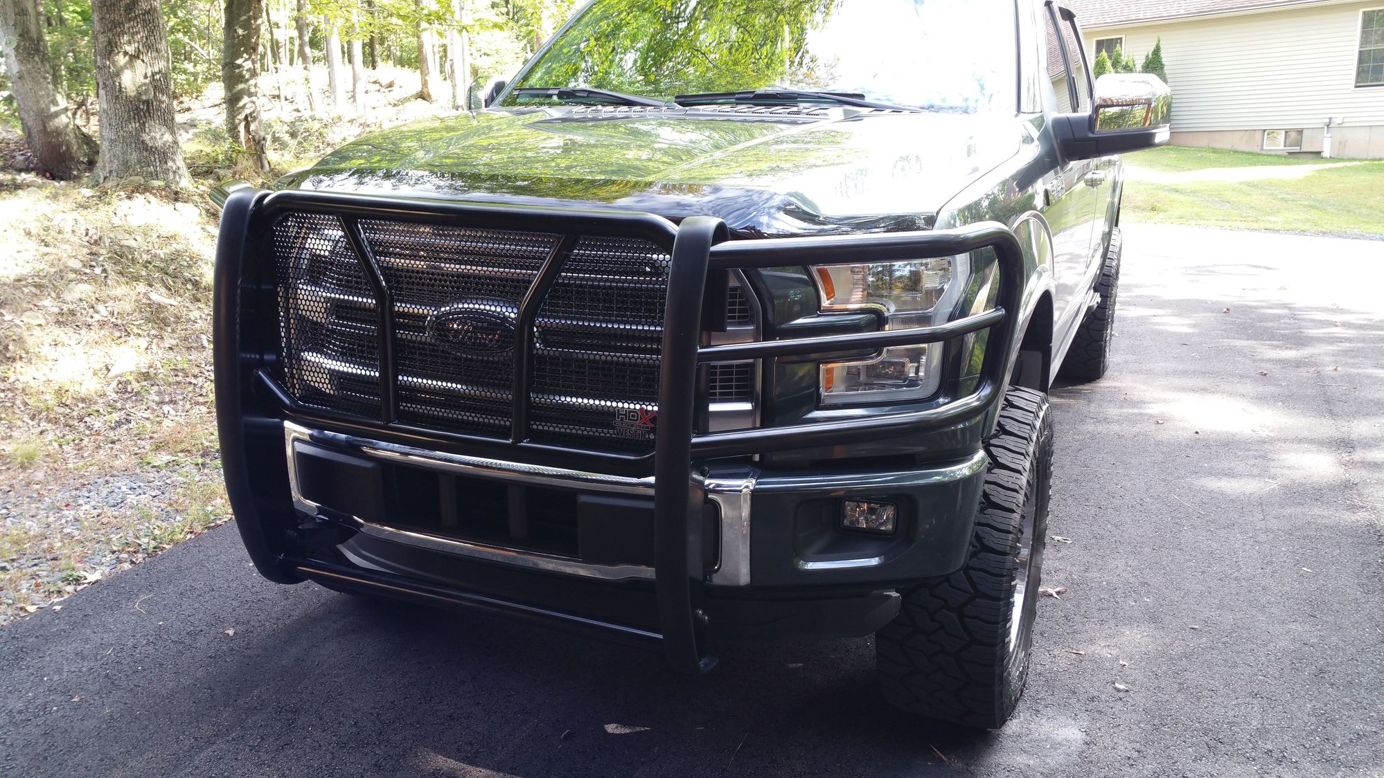Westin HDX Grille Guard - Ford F150 Forum - Community of ...