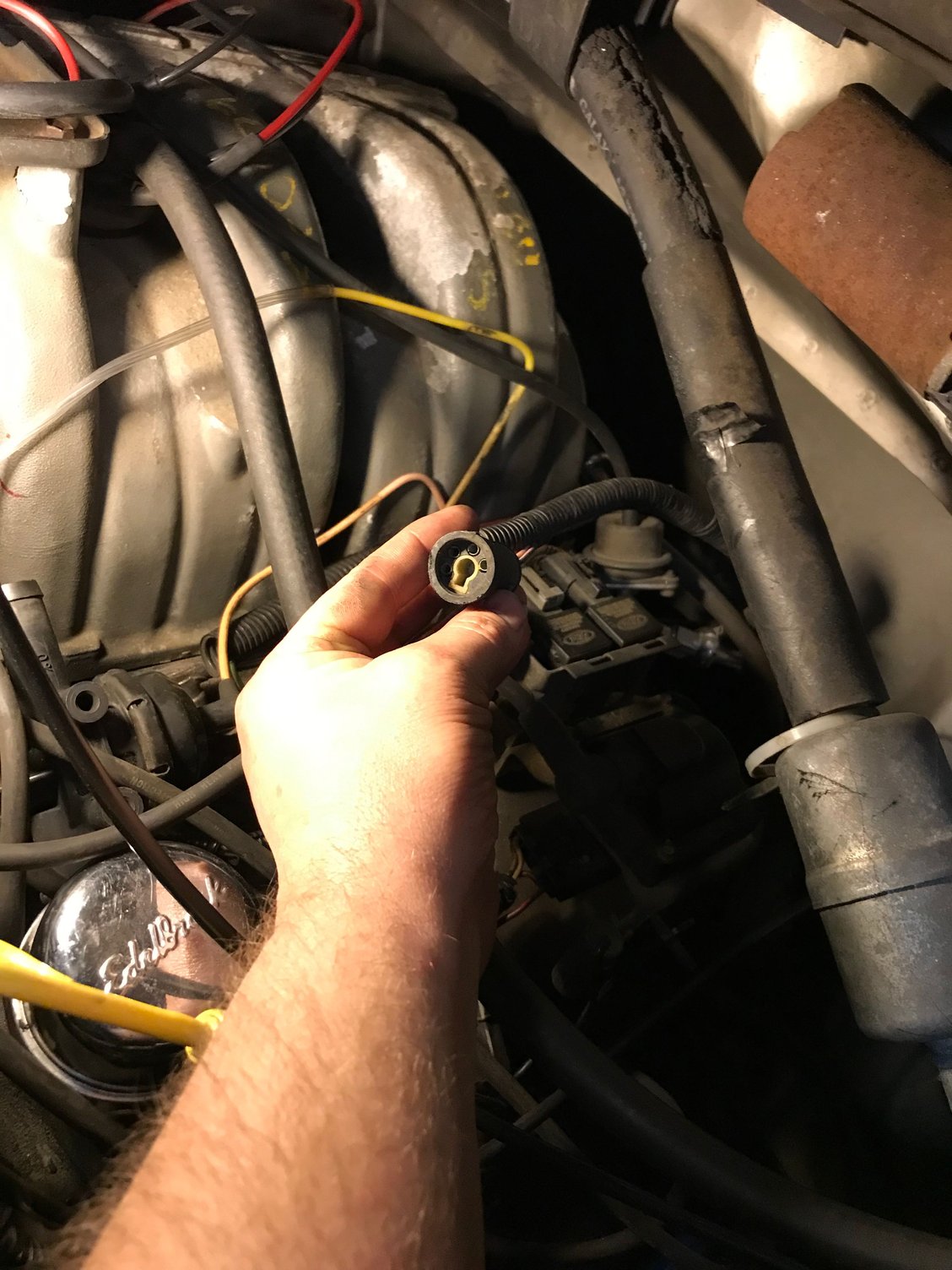 *Help please!* identify a wiring connector - Ford F150 Forum