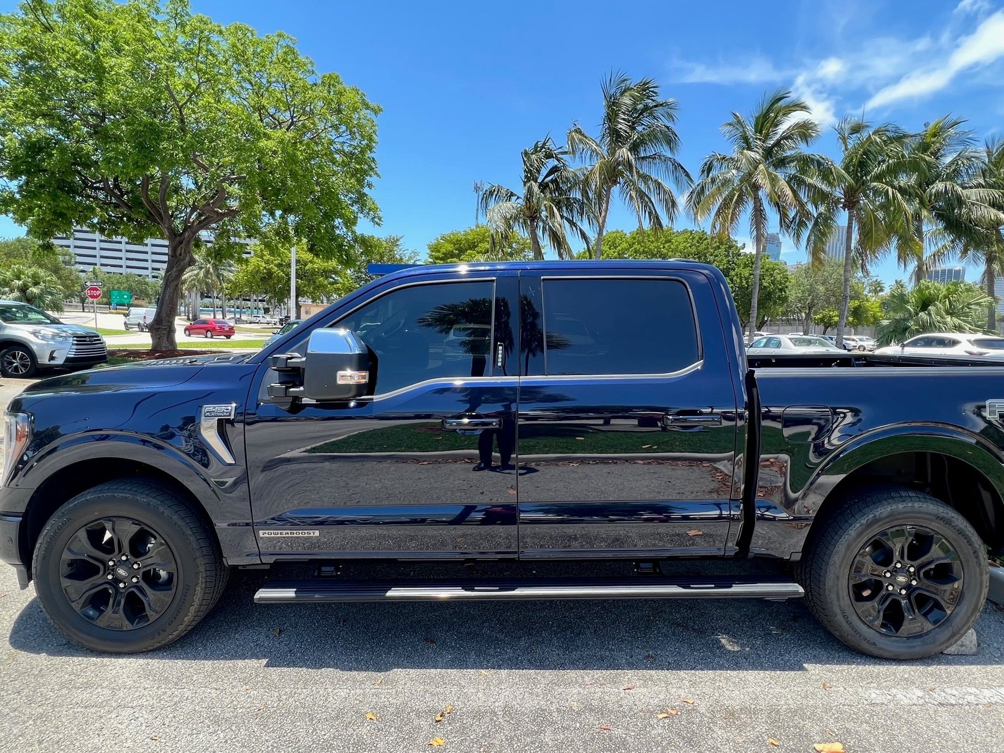 My SEM Trim Black FX projects! - Ford F150 Forum - Community of Ford Truck  Fans