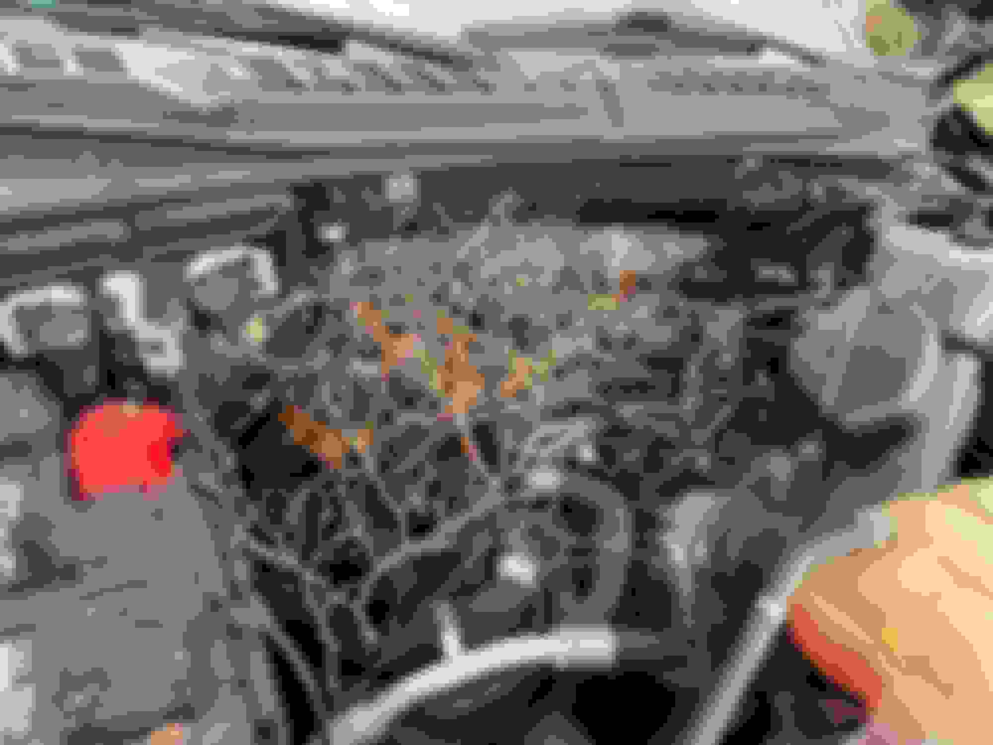 Squirrel ate through a fuel line. Ford F150 Forum Community of Ford