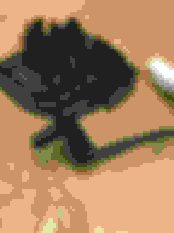 External ambient air temp sensor 2018 F150 Lariat Ford F150 Forum Community of Ford Truck Fans