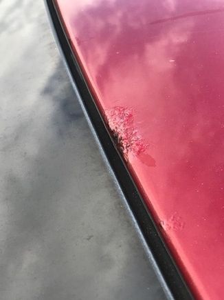 About 1 inch long at windshield