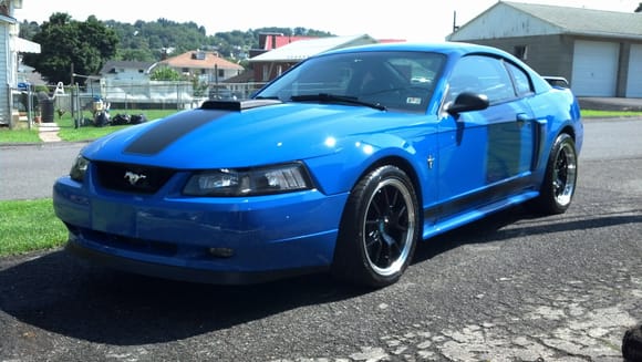 Pic of my Mustang.   I guess I like blue haha