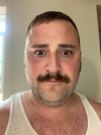 Paul Blart at your service