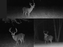 Bucks from 2012