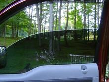 20% Tint