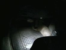white lights