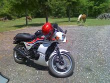 Rode down to our land to hang out &amp; feed horses. I love my Kawasaki!